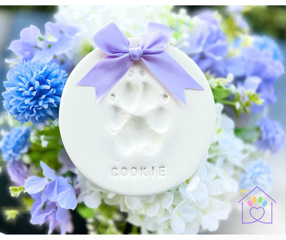 Pet keepsake and memory from a Tender Transitions in-home farewell